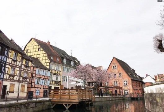 Screen Shot 2017-07-24 at 1.08.27 PM