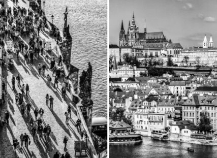 Screen Shot 2017-07-25 at 12.35.39 PM