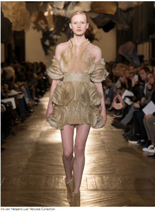 Screen Shot 2018-10-25 at 8.45.09 AM